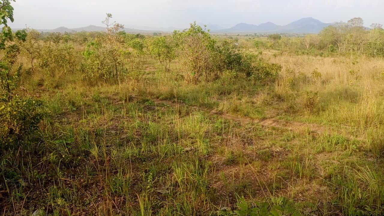 Ansicht des zukünftigen Campus-Geländes