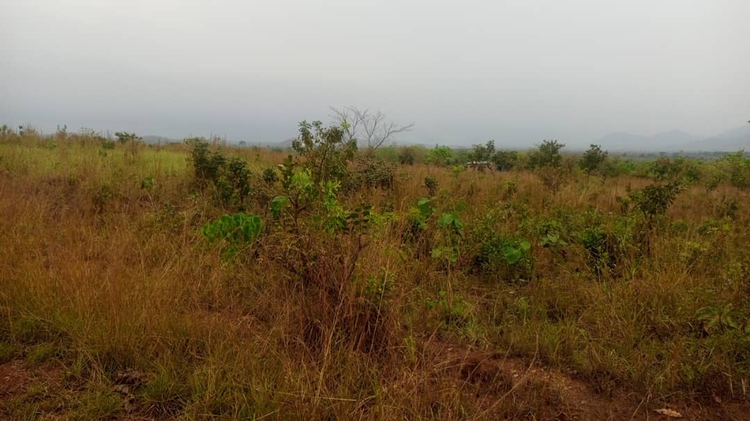 Ansicht des zukünftigen Campus-Geländes